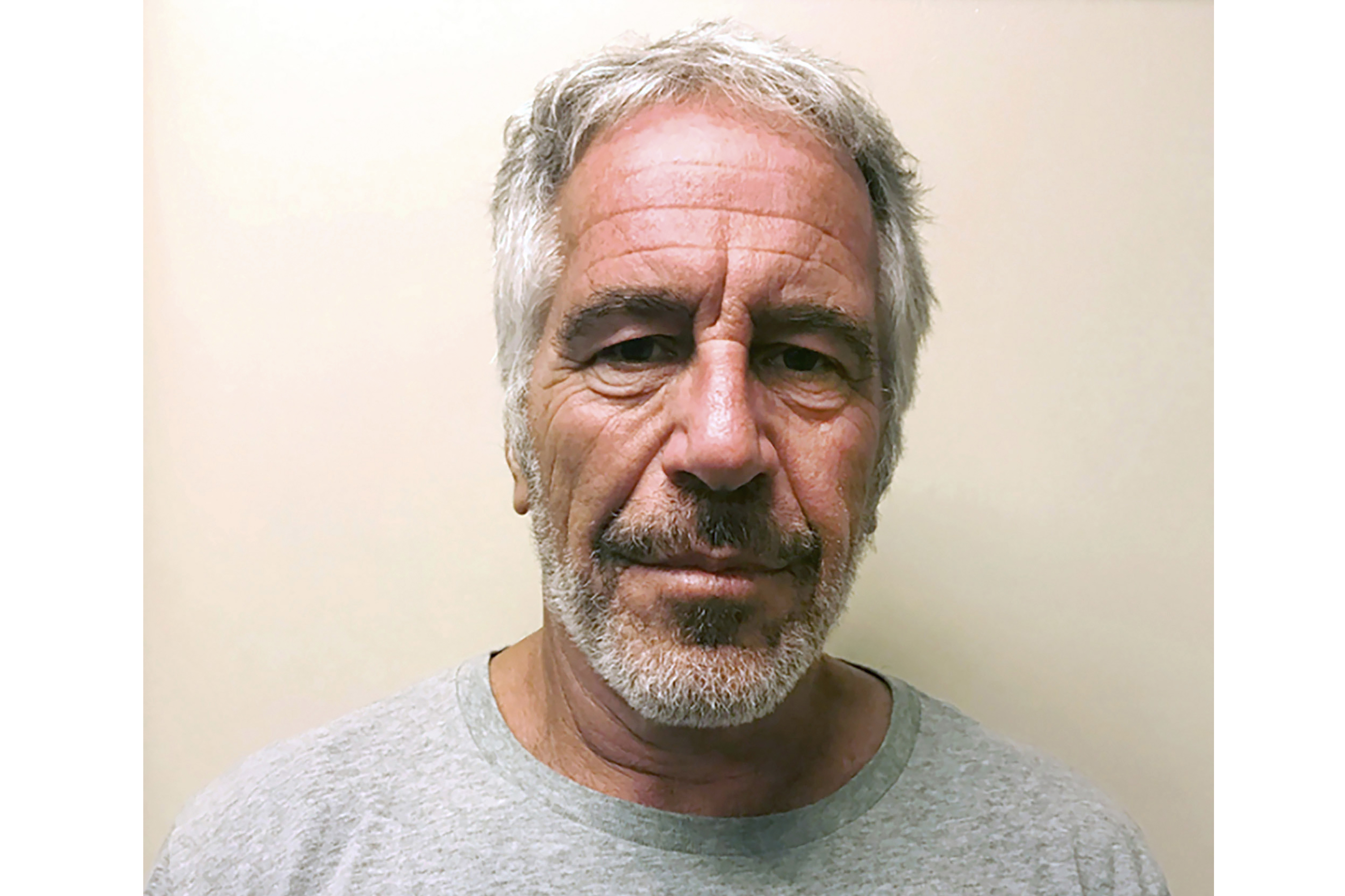 Jeffrey Epstein's booking photo
