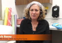 SPCA Wildlife Weekend: We Need Foster Families