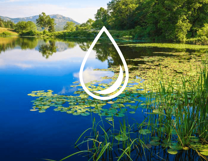 Scenic lake with green lily pads and tall reeds, with a white water-drop icon overlay.