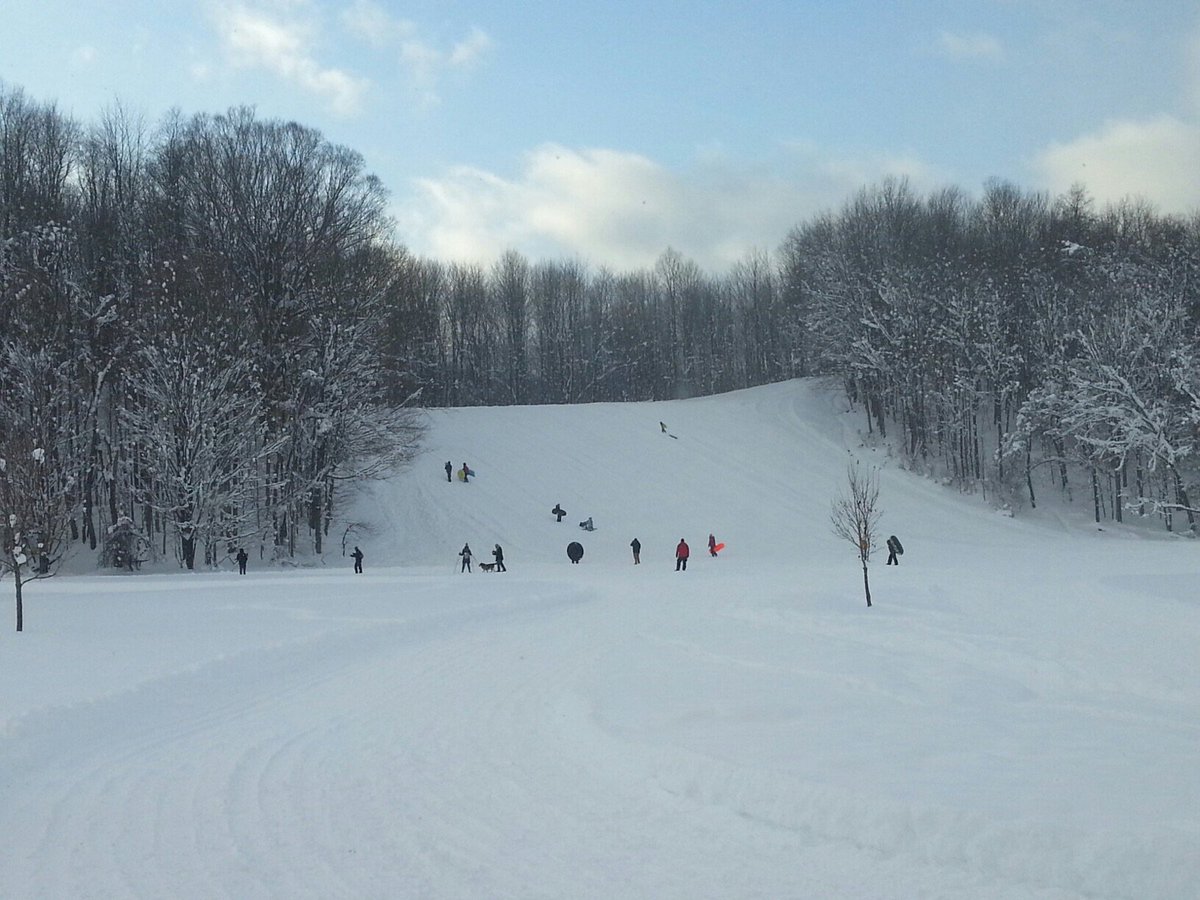 People sled and walk on a snow-covered hill through a winter forest.