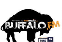 Willie Nile @ Outer Harbor Teminal B Silhouette of buffalo over bold “BUFFALO.FM” text with “Powered by WNYmedia.net”