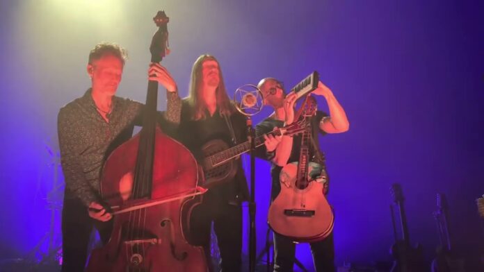 Band members on stage playing double bass and guitars under red and blue lighting
