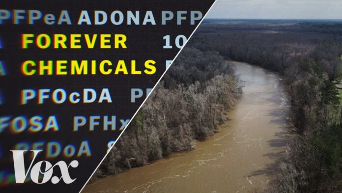 Split image showing a river landscape and colorful text reading “FOREVER CHEMICALS.”