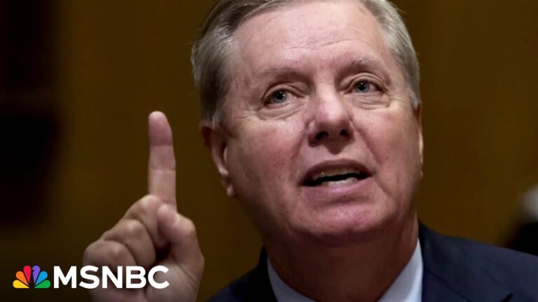 Sen. Graham ‘threw Trump under the bus’ in special grand jury testimony, book says