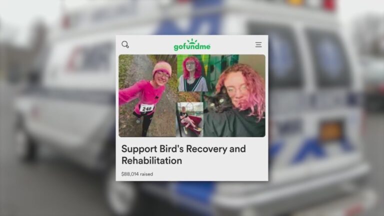 Woman partially paralyzed at Mohawk Place suing singer who jumped on her