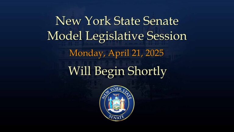 2025 Model Legislative Session