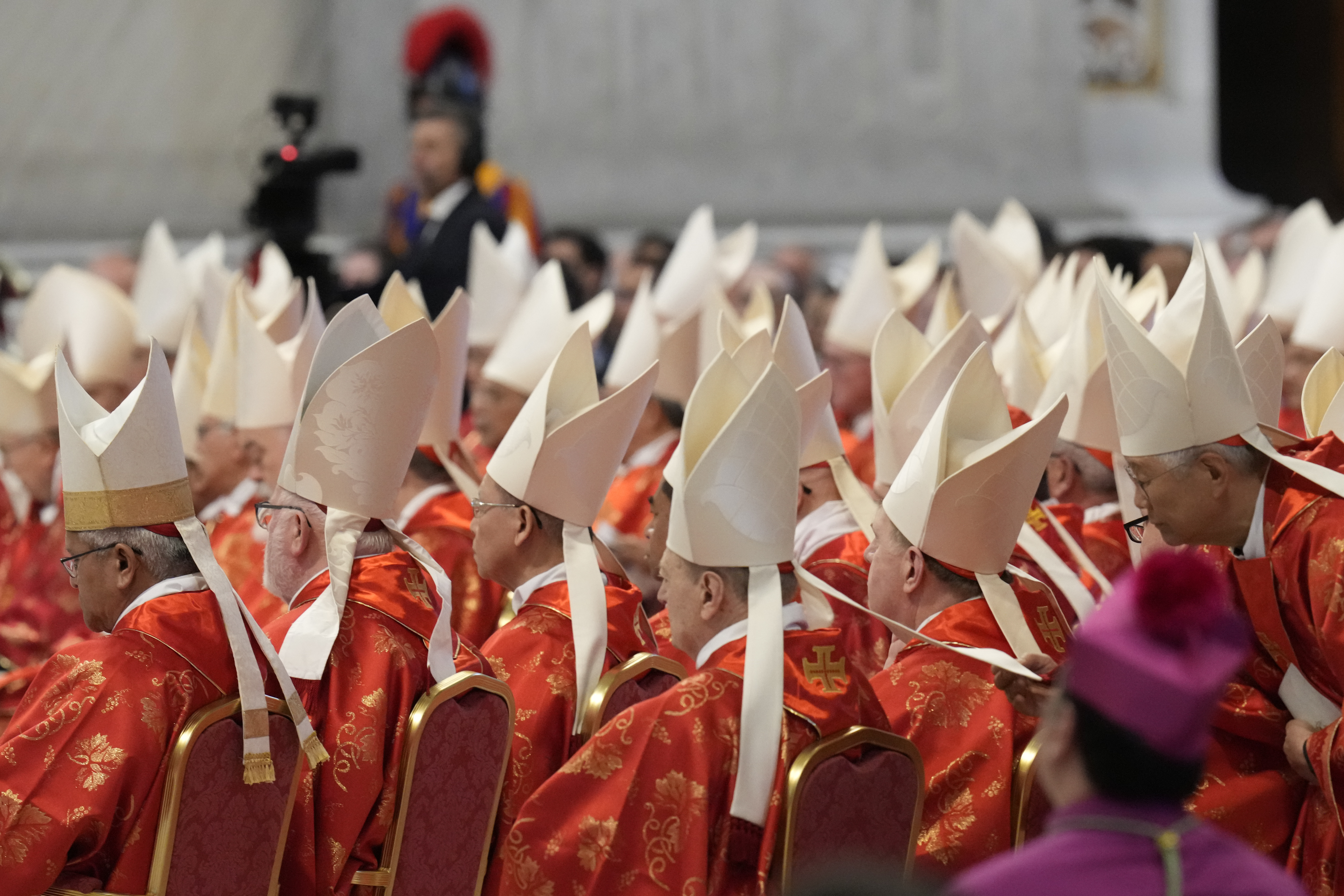 Cardinals attend a Mass