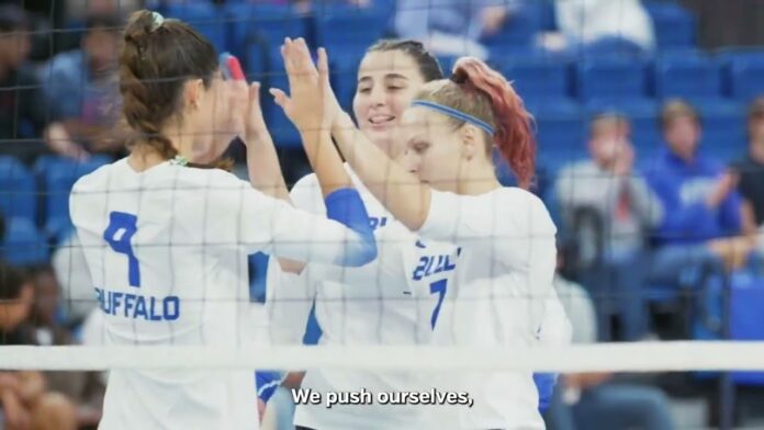 Volleyball players in white uniforms high-five and raise arms in a gym.