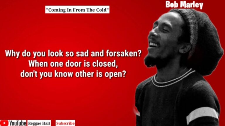 Bob Marley Coming In From the Cold lyrics video