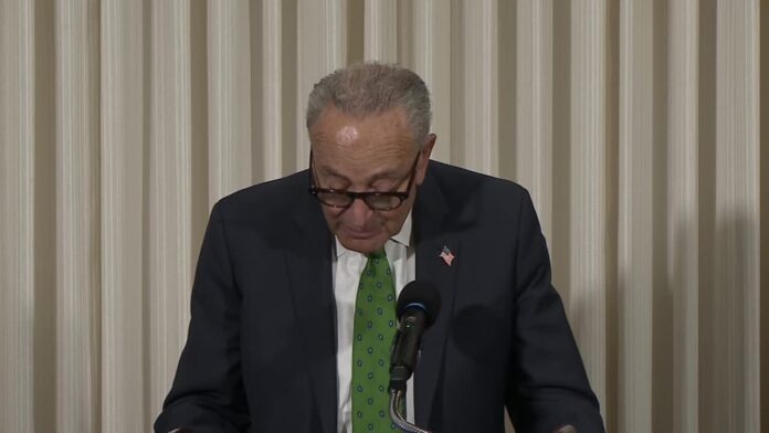 RAW VIDEO: Man interrupts Chuck Schumer, calls him 'genocidal maniac'