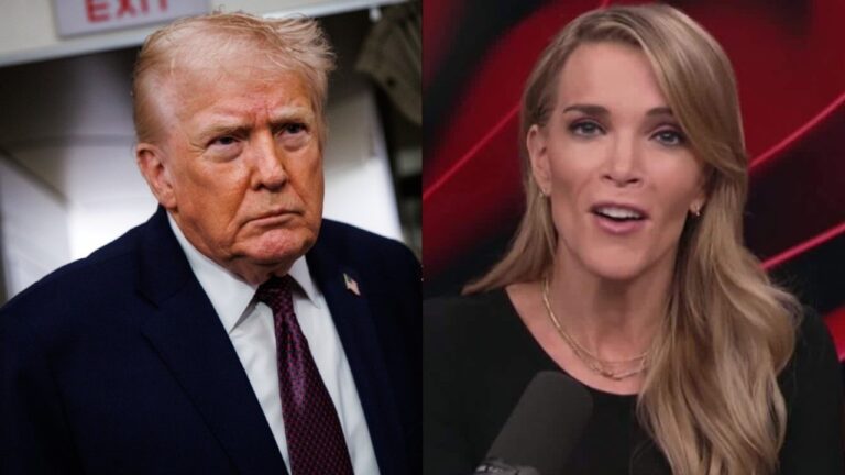 ‘I Say This as a True Fan’: Megyn Kelly Admits She ‘Can’t Stand’ Trump Sons’ Grift