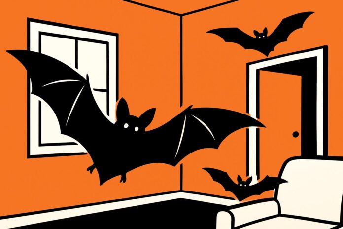 Erie County warns of seasonal rise in bat encounters; urges rabies precautions