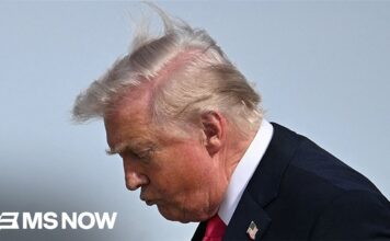 ‘He DOESN’T UNDERSTAND’: Fmr. Trump Intel Chief issues WARNING after witnessing Trump during briefs 'He DOESN'T UNDERSTAND': Fmr. Trump Intel Chief issues WARNING after witnessing Trump during briefs